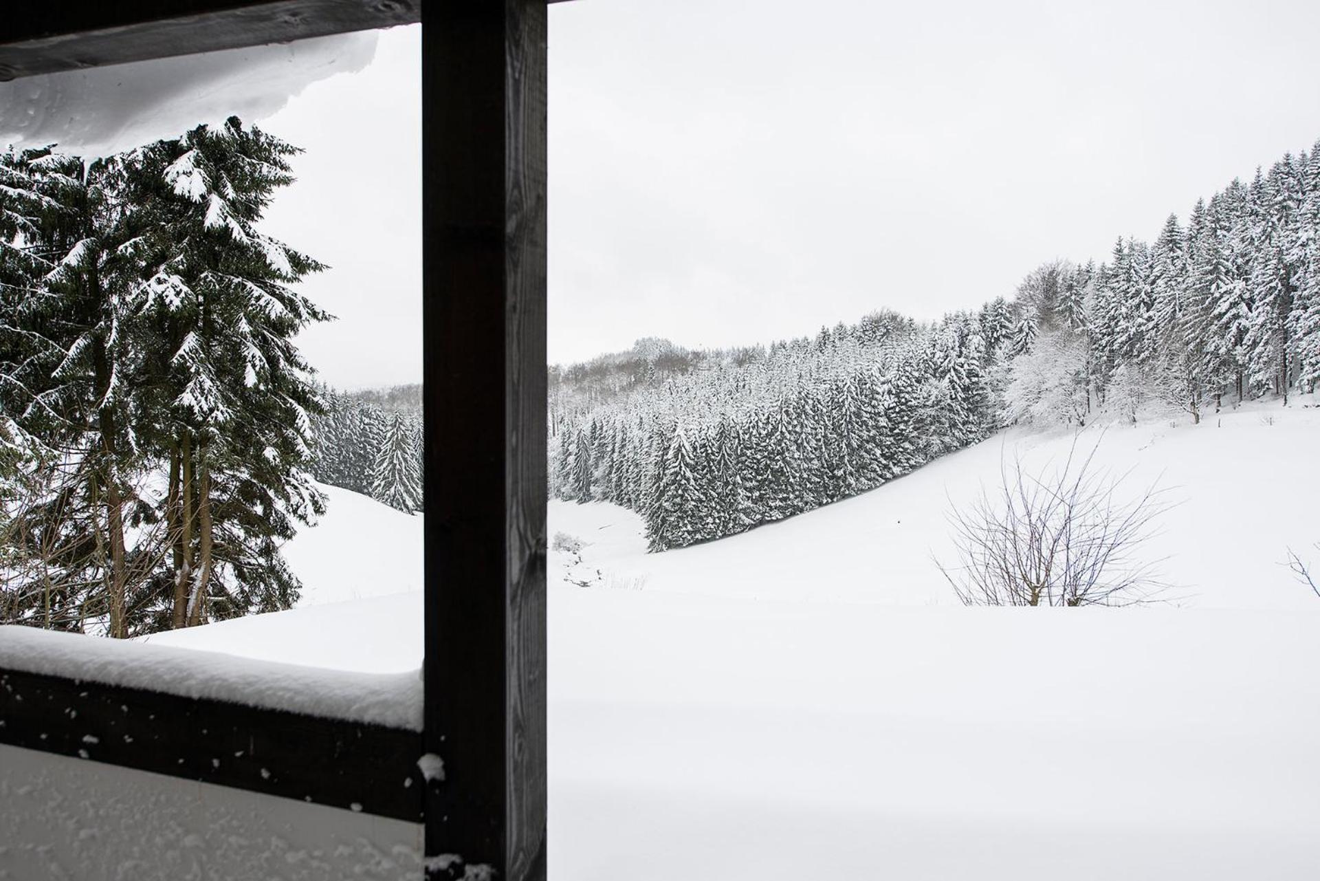 Romantikhuette Neuastenberg Winterberg Ngoại thất bức ảnh